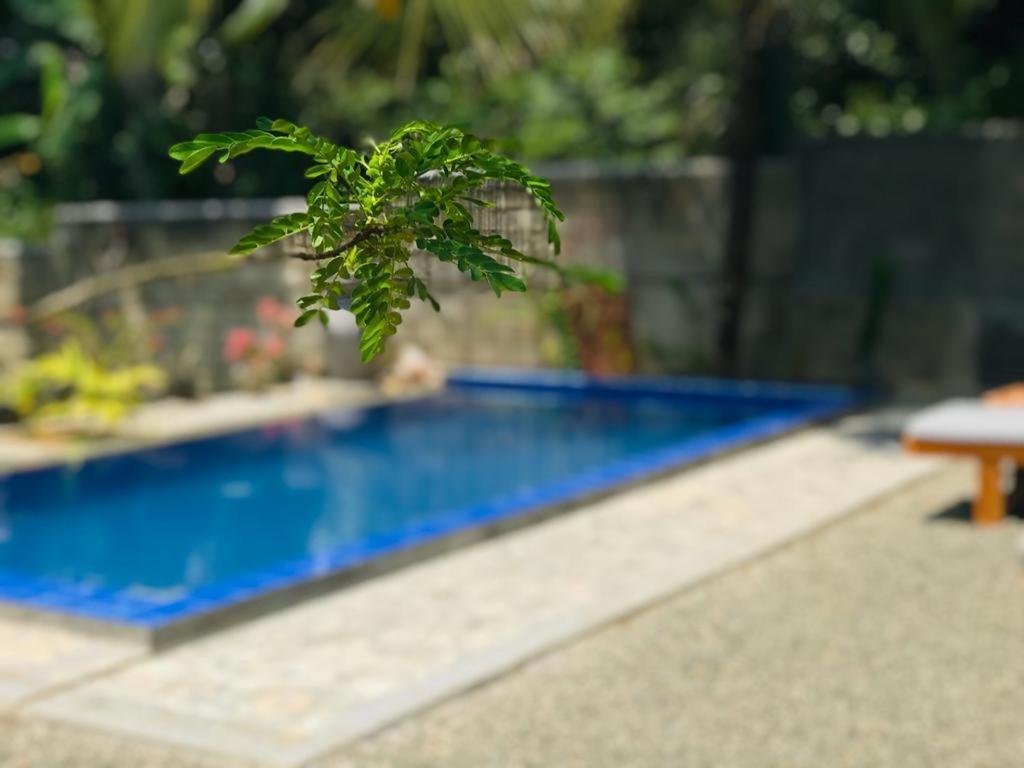 Peaceful Green Villa Unawatuna Zewnętrze zdjęcie