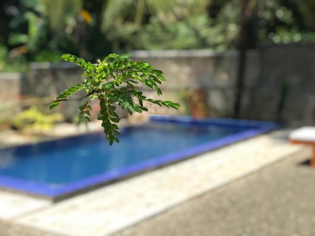 Peaceful Green Villa Unawatuna Zewnętrze zdjęcie
